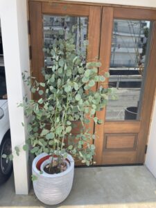 新しく仲間入り