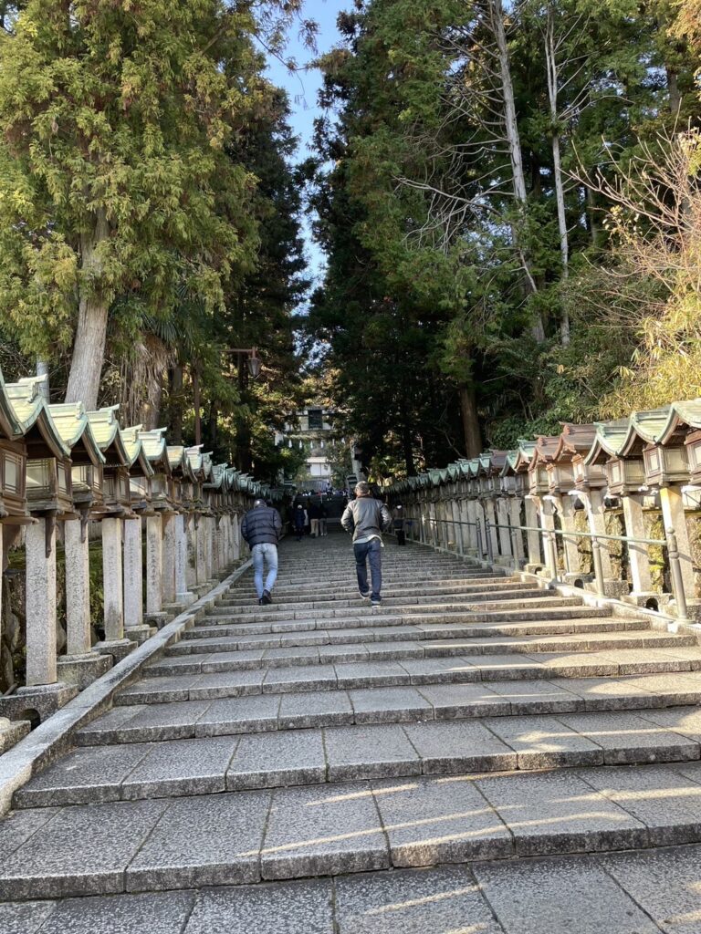 今年もよろしくお願い致します。
